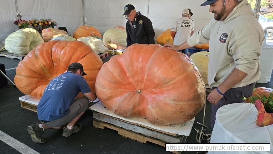 fruitImages/1274 Larson 2025C.jpg